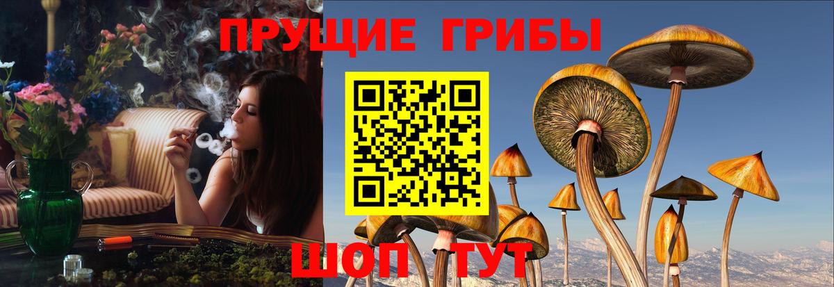 Галлюциногенные грибы мицелий  Вход с VPN  Старый Оскол  Псилоцибиновые грибы мицелий 